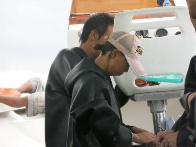 palau2B3.jpg