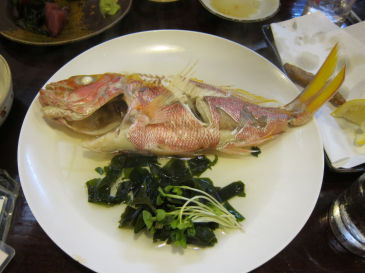 ishigaki122.jpg