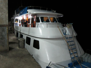 Manta Queen II