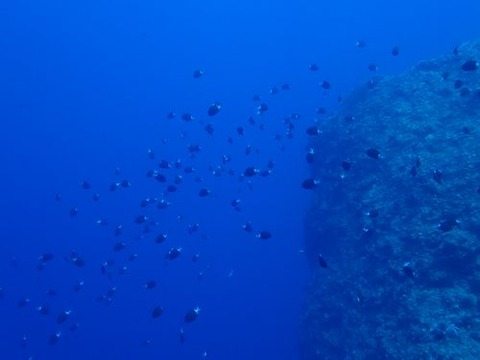okinawa1238
