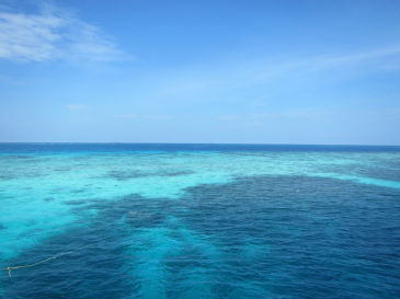 maldives4C1.jpg
