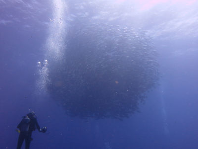 okinawa925.jpg