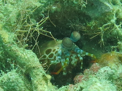 okinawa910.jpg