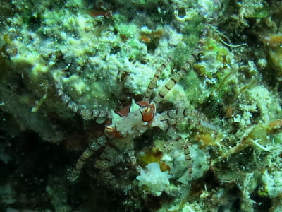 okinawa919.jpg