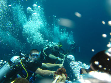 similan152.jpg