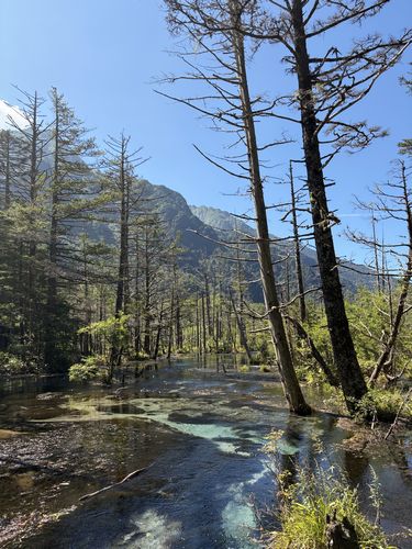 kamikochi135
