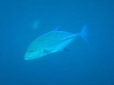 maldives4D9.jpg