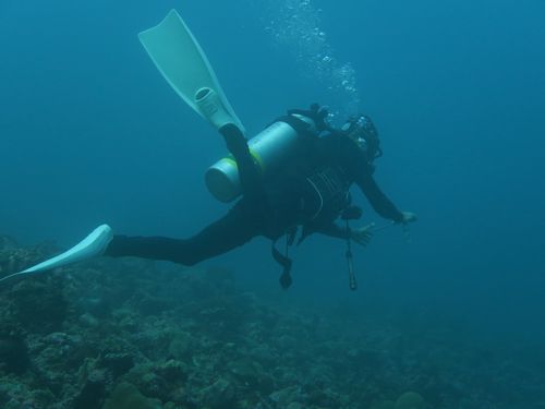 maldives6a6.jpg