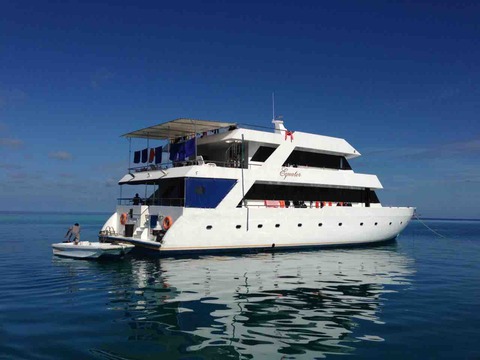 3585E062-2AAE-478A-8766-27235894BD8B