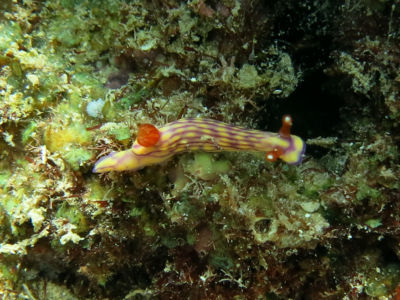 okinawa922.jpg