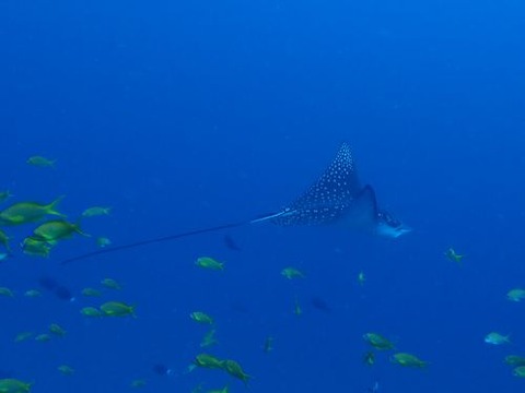maldives742