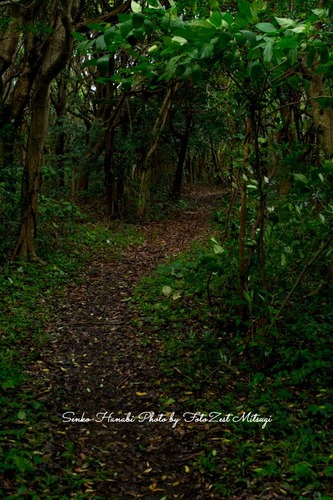 20171019-DSC_1588