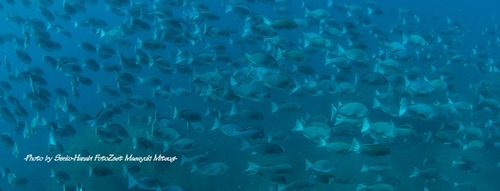 DSC_6743-2