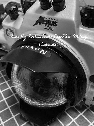 204967021_3032209803768943_2042727338983291444_n