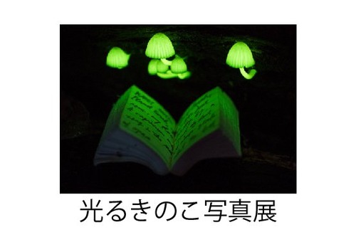 Image1