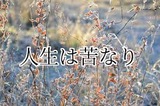 19oyEJ776LwmXpV1547521131_1547521188