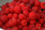 imagesY083JL71