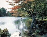 tc4_search_naver_jpCADTCBRL