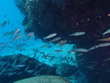2013_01150389s