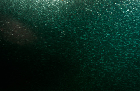 _DSC6038