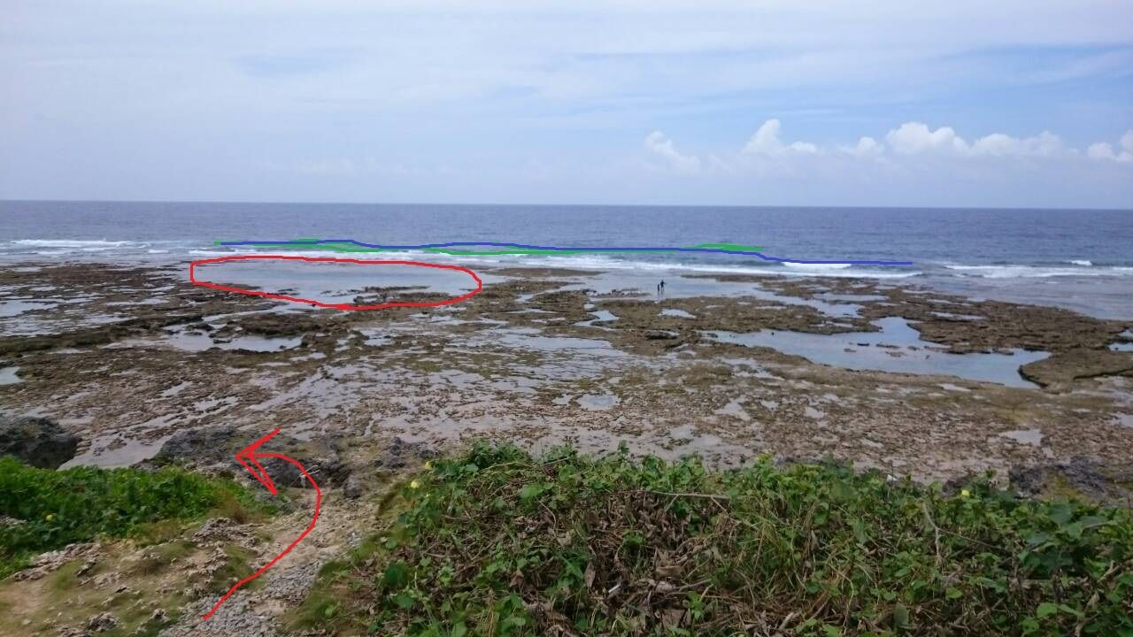 山城海岸 No2 偵察 僕とダイビングfrom沖縄