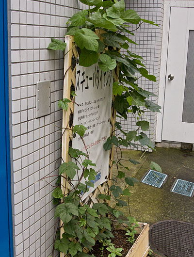 20090724hana01.jpg