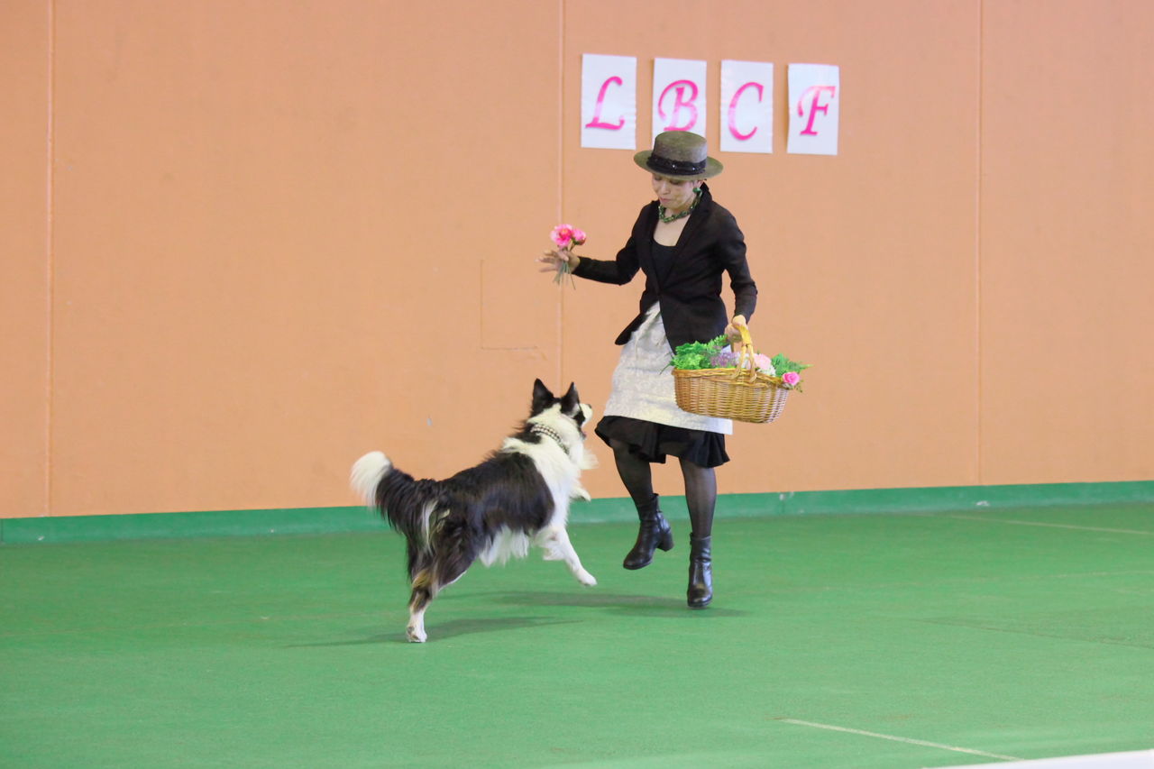 犬と踊るblog 犬と踊るblog