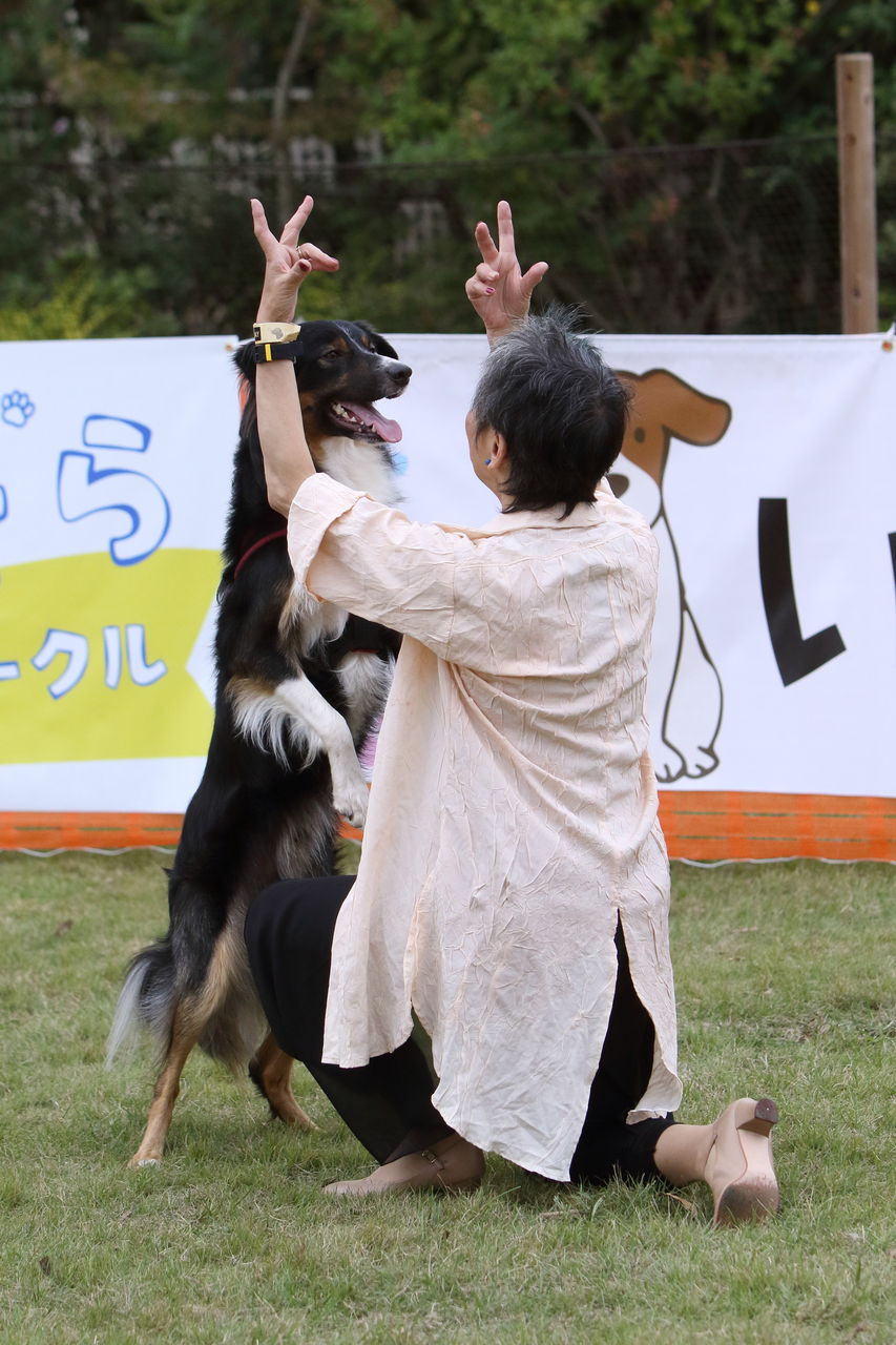 犬と踊るblog 犬と一緒に踊りませんかレッスン