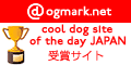 cool dog site of the day