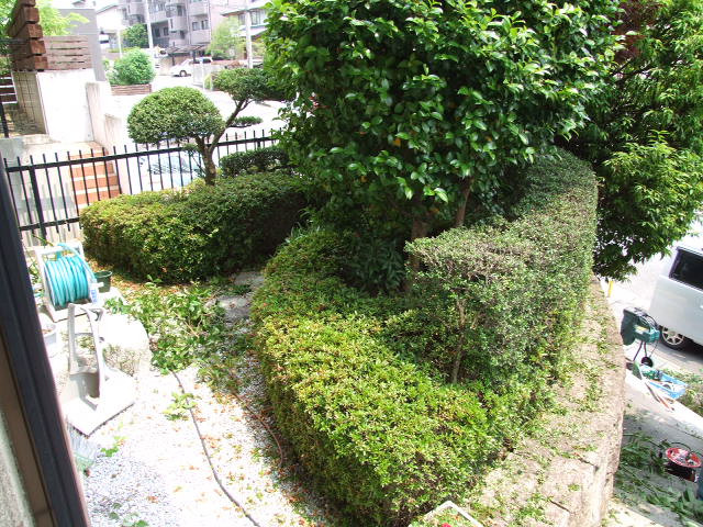 Diyレポート 植木剪定に挑戦 ｄｉｙ中部