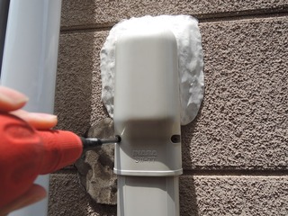 DSCN8775