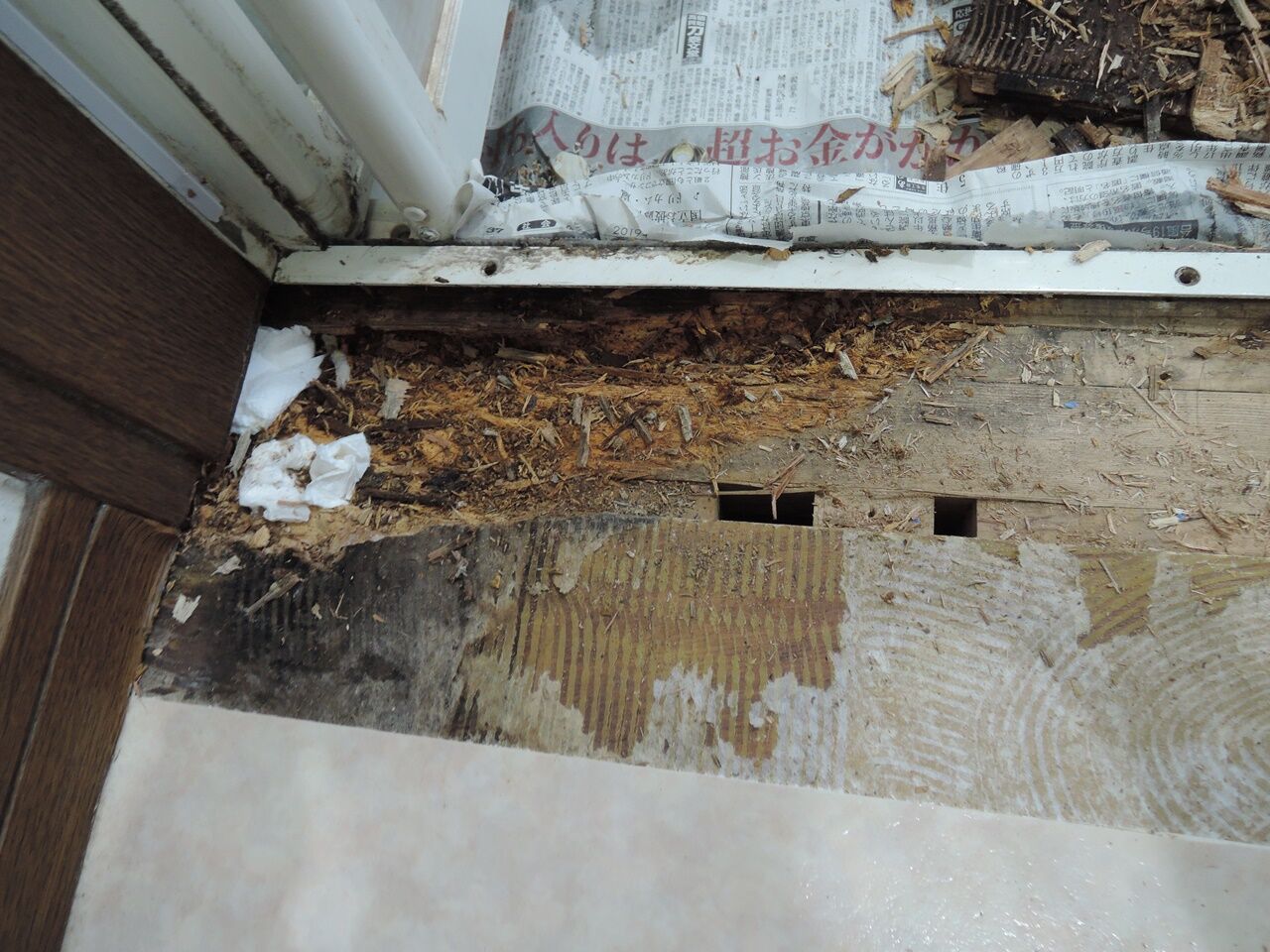 洗面所の床 浴室入口付近 を修理しました 床が腐ってしまってもう大変 ダッド パパ のdiy Usedブログ 洗面所の床 浴室入口付近 を修理しました 床が腐ってしまってもう大変 ダッド パパ のdiy Usedブログ