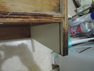 DSCN0950