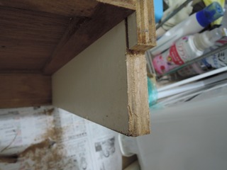 DSCN0951