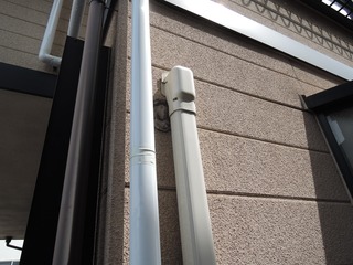 DSCN8755