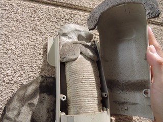 DSCN8759