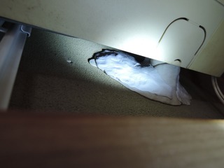 DSCN8839
