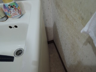 DSCN0939