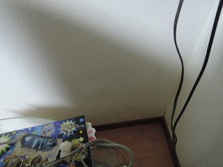 DSCN8923