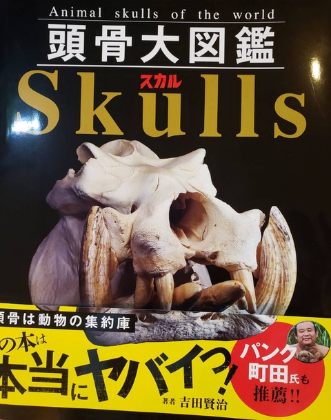 新入荷もぞっくぞく