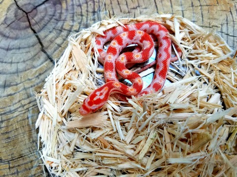 入荷いろいろ❗❗