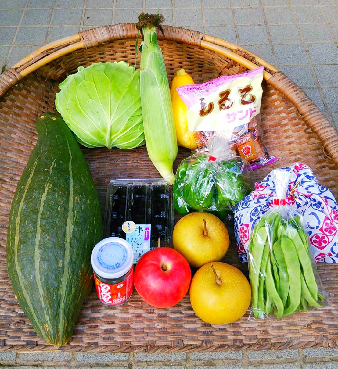 十五夜 爬虫類専門店dizzy Point