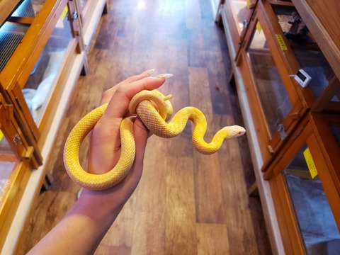 1605538733897
