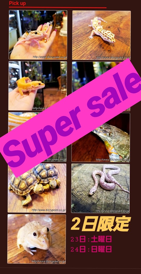 明日はsale
