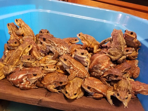 ハロウィン🎃セール❗❗❗