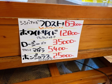 1583037616252