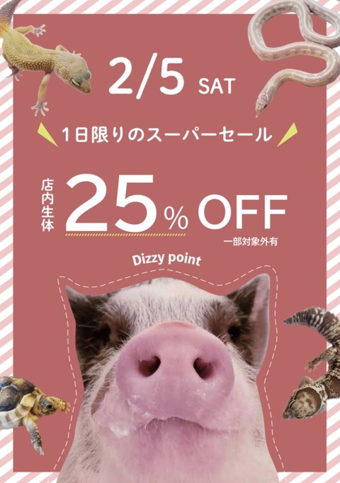 やりすぎた