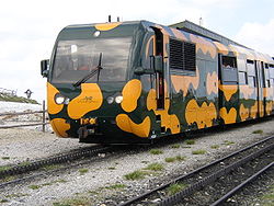 250px-Salamander_train2