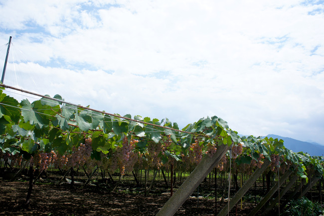 20170826_12-08-32_DSC02127