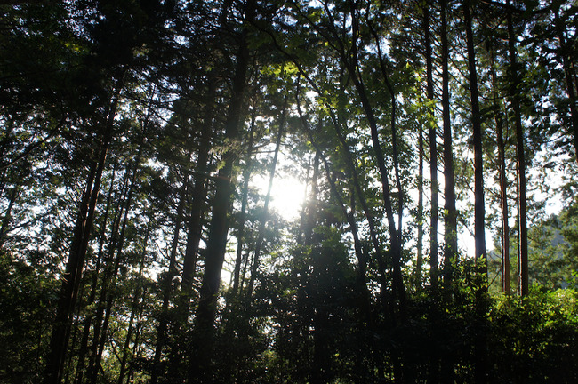DSC00411